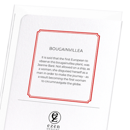 BOUGAINVILLEA: Botanical Greeting Card