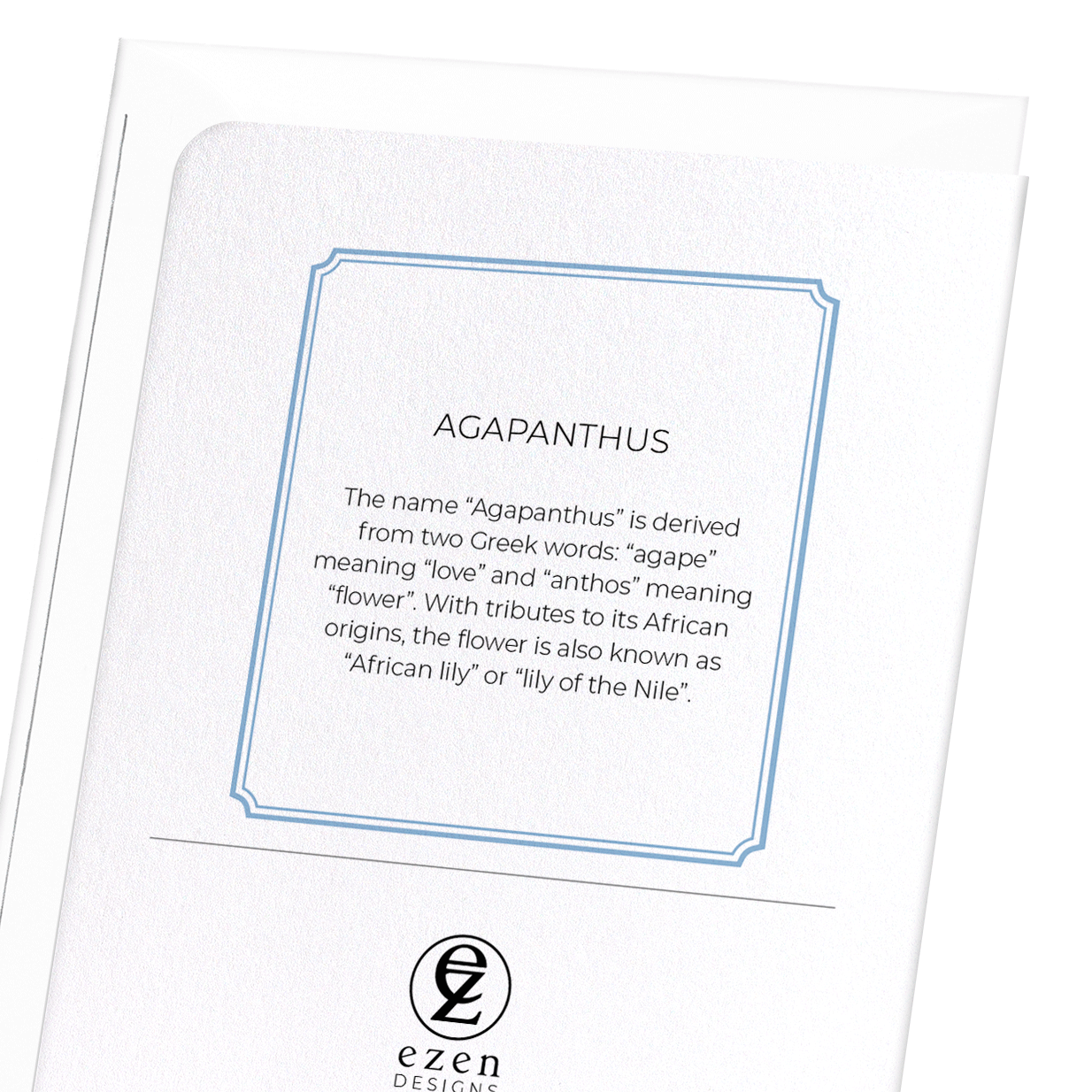 AGAPANTHUS: Botanical Greeting Card