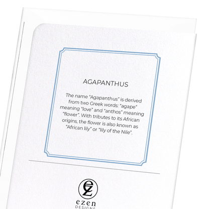 AGAPANTHUS: Botanical Greeting Card