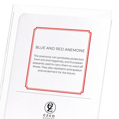 BLUE AND RED ANEMONE: Botanical Greeting Card