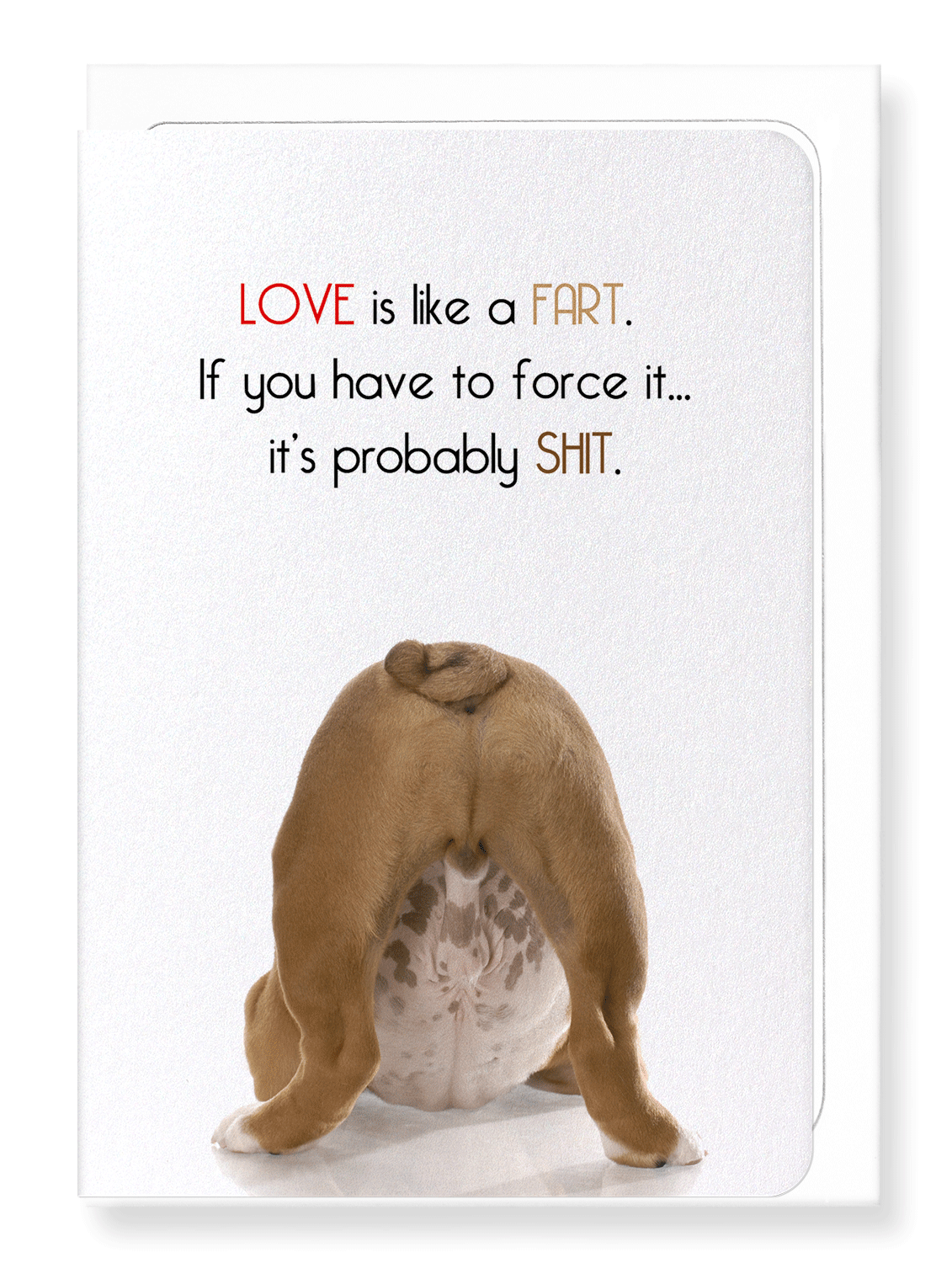Ezen Designs - Love is like a fart - Greeting Card - Front
