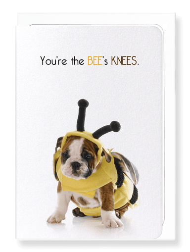 Ezen Designs - The bee's knees - Greeting Card - Front