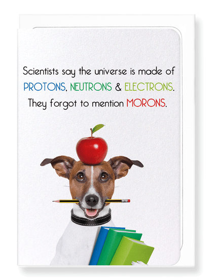 Ezen Designs - Universe and morons - Greeting Card - Front