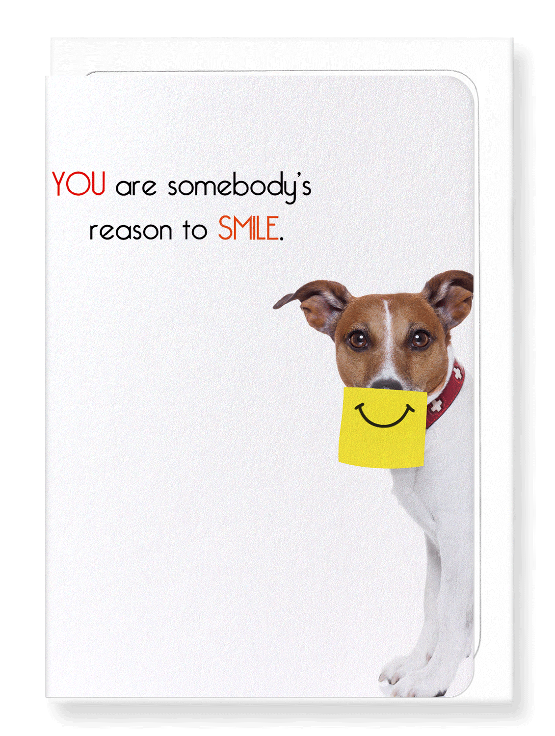 Ezen Designs - Somebody's reason to smile - Greeting Card - Front