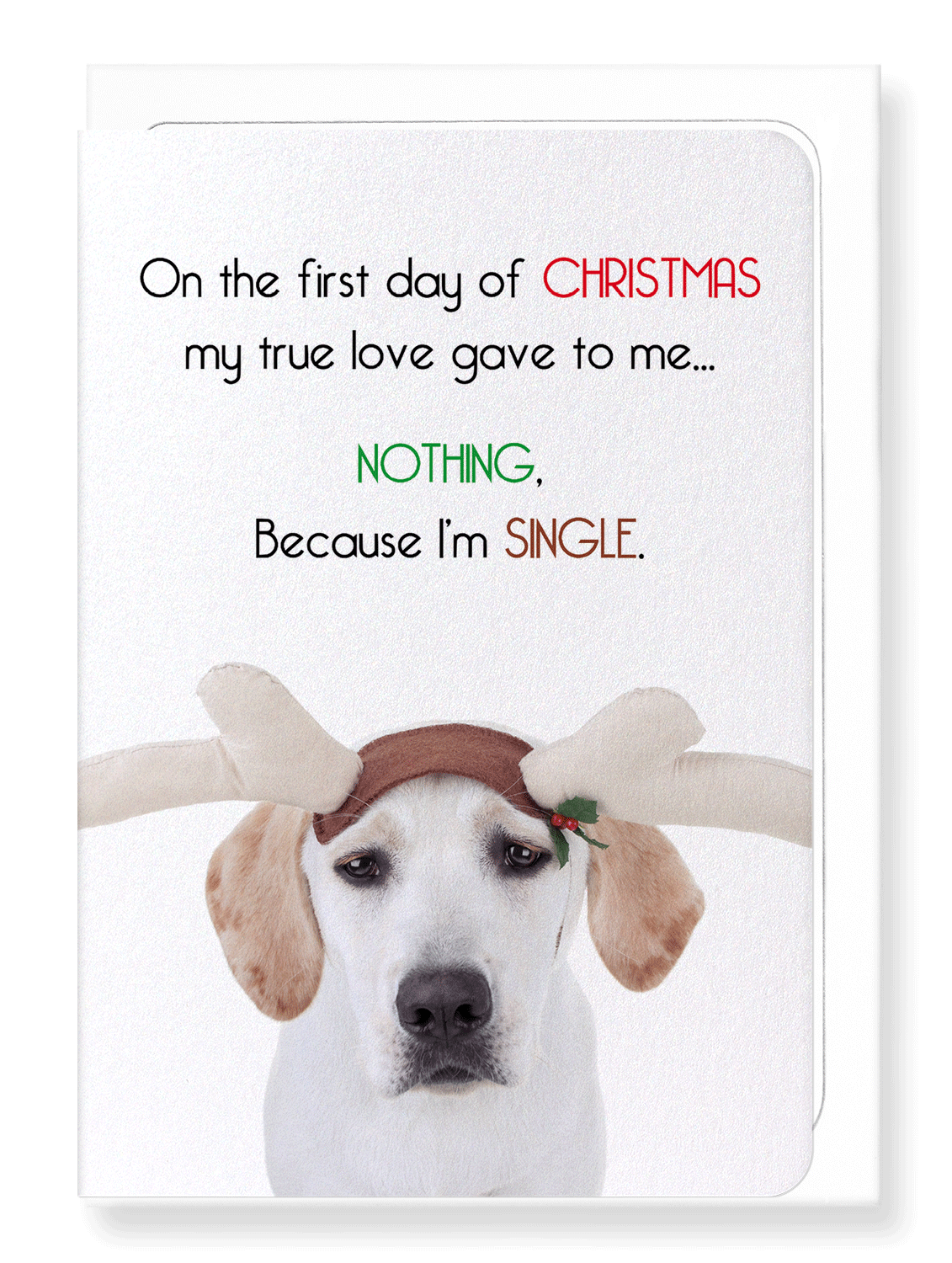 Ezen Designs - Because I'm single  - Greeting Card - Front
