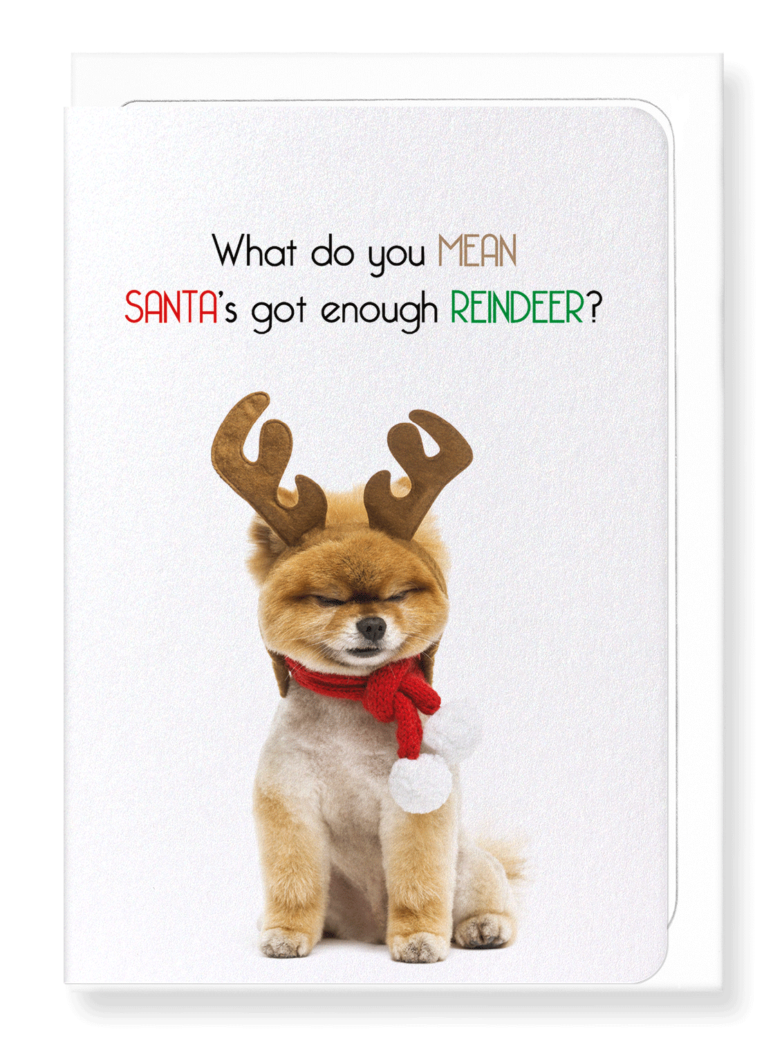 Ezen Designs - Enough reindeer  - Greeting Card - Front