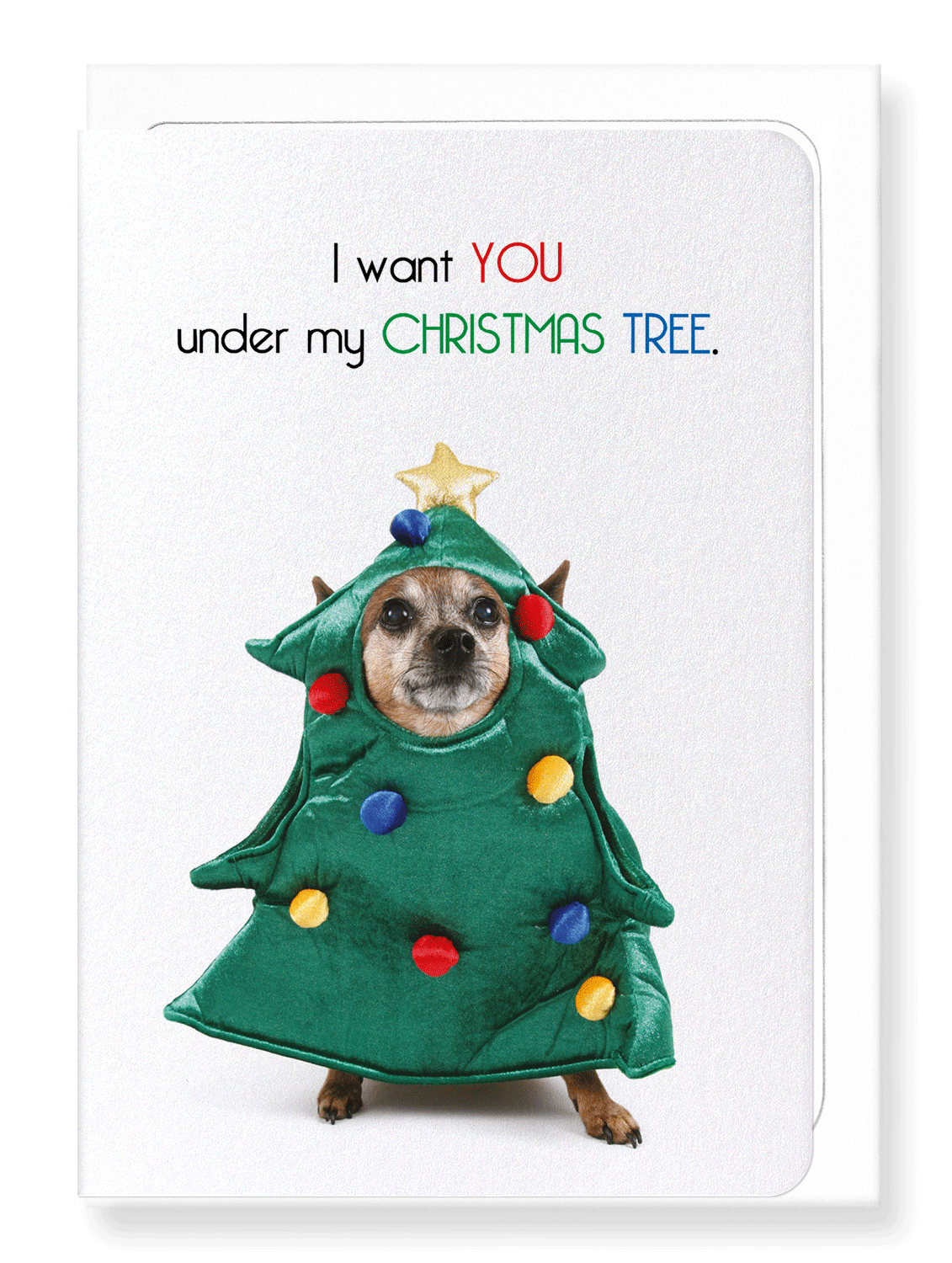 Ezen Designs - Under my christmas tree - Greeting Card - Front