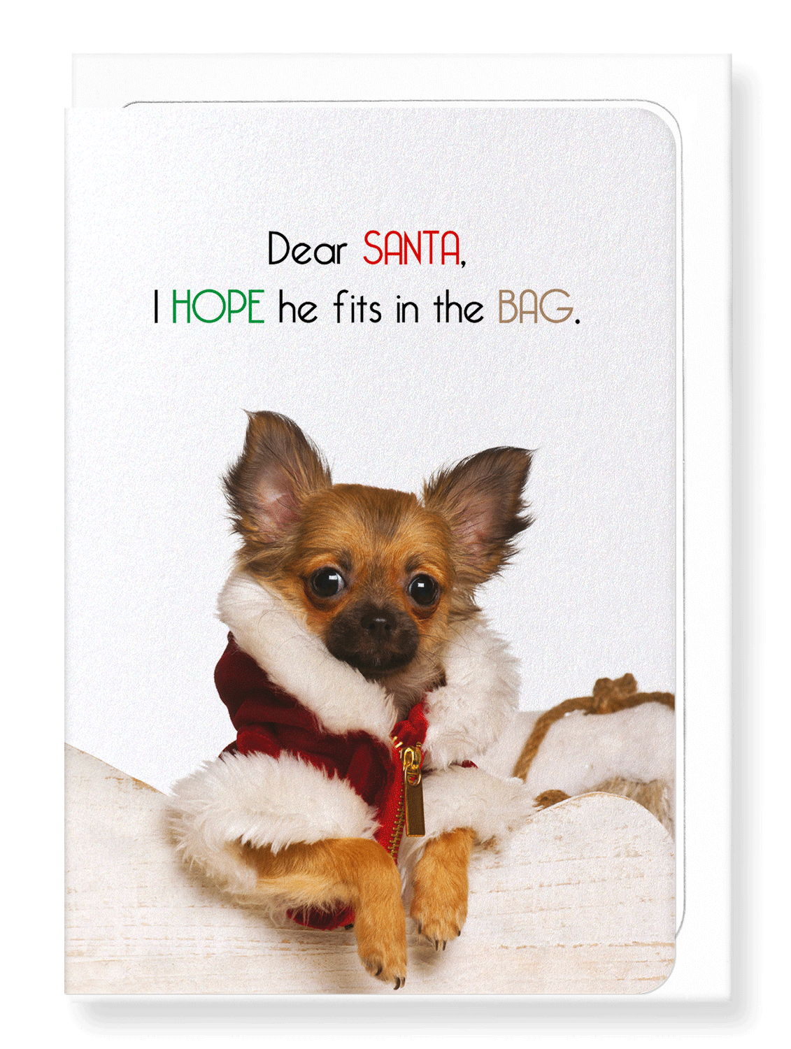 Ezen Designs - Fit in santa's bag - Greeting Card - Front