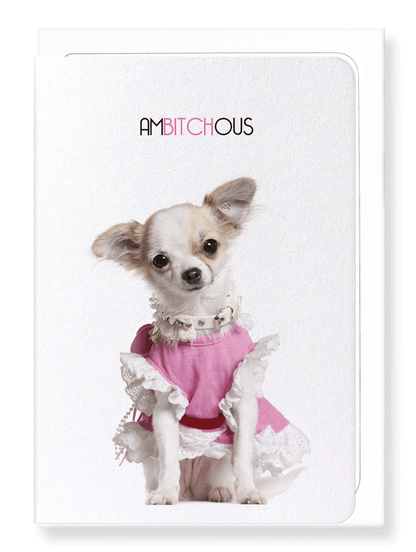Ezen Designs - Ambitchous - Greeting Card - Front