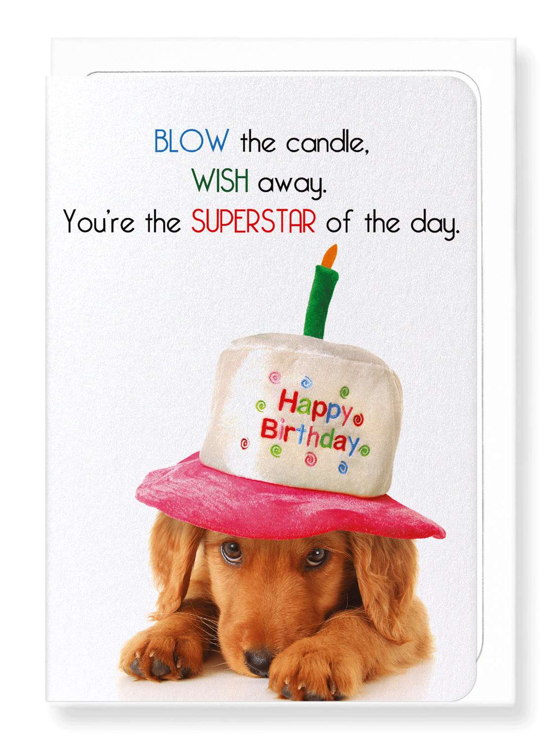 Ezen Designs - Blow and make a wish - Greeting Card - Front