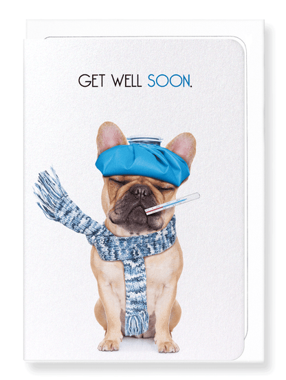 Ezen Designs - Get well soon frenchie  - Greeting Card - Front