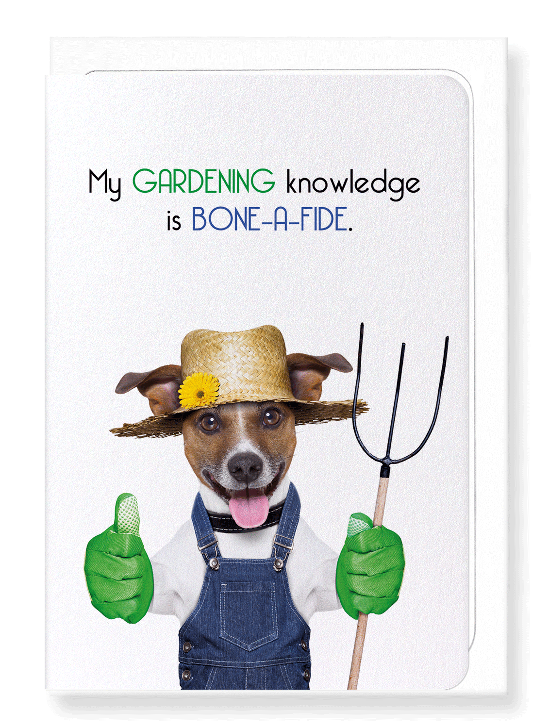 Ezen Designs - Bone-a-fide knowledge - Greeting Card - Front