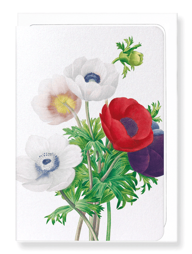 Ezen Designs - Anemone (detail) - Greeting Card - Front