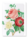 Ezen Designs - Clematis & pink rose (detail) - Greeting Card - Front