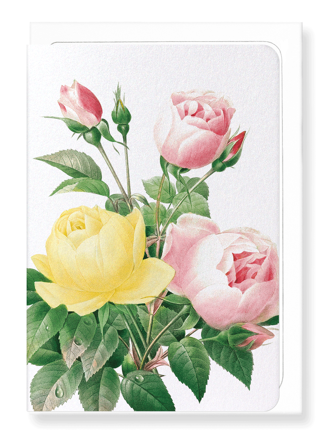 Ezen Designs - Yellow and pink rose (detail) - Greeting Card - Front