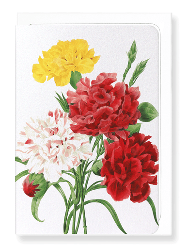 Ezen Designs - Carnation (detail) - Greeting Card - Front