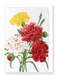 Ezen Designs - Carnation (detail) - Greeting Card - Front
