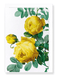 Ezen Designs - Yellow roses (detail) - Greeting Card - Front