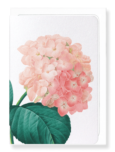 Ezen Designs - Hortensia (detail) - Greeting Card - Front