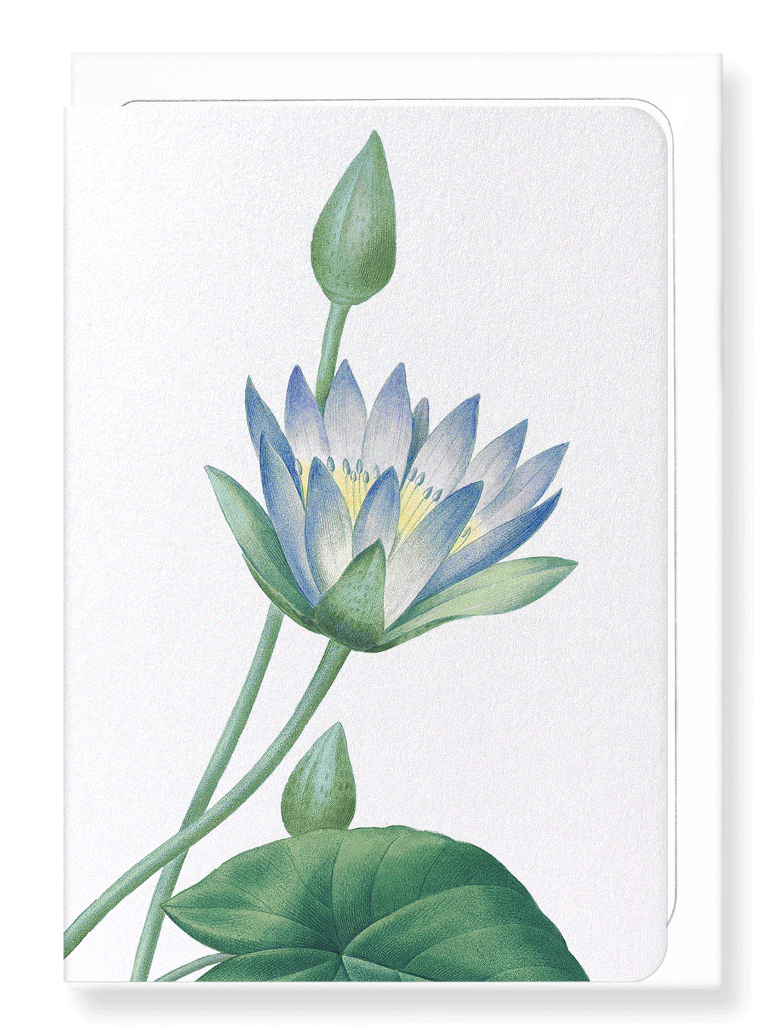Ezen Designs - Blue lotus (detail) - Greeting Card - Front