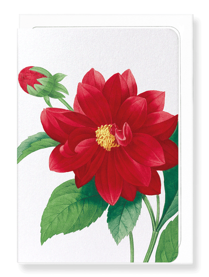 Ezen Designs - Dahlia double (detail) - Greeting Card - Front
