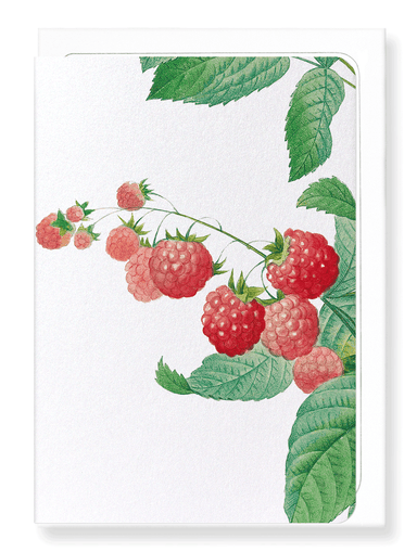 Ezen Designs - Raspberry (detail) - Greeting Card - Front