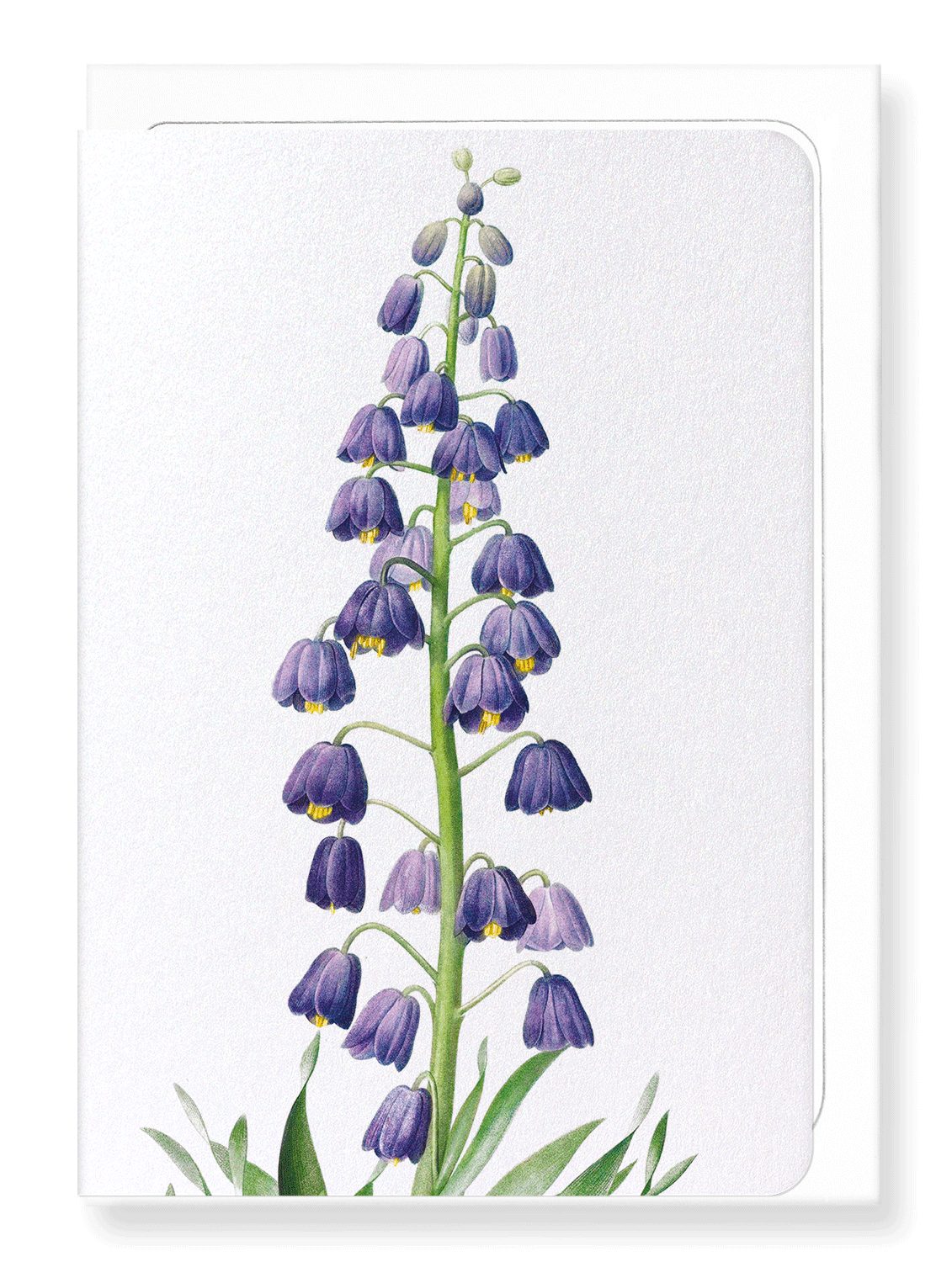 Ezen Designs - Adiyaman (detail) - Greeting Card - Front