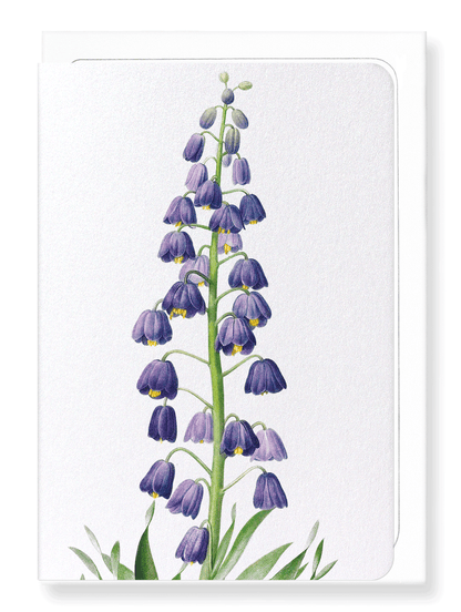 Ezen Designs - Adiyaman (detail) - Greeting Card - Front
