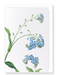 Ezen Designs - Forget me not flower (detail) - Greeting Card - Front