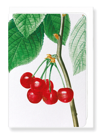 Ezen Designs - Cherries (detail) - Greeting Card - Front