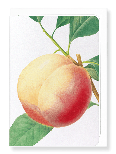 Ezen Designs - Peach No.1 (detail) - Greeting Card - Front