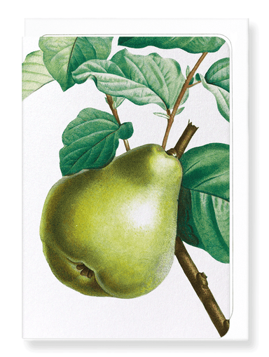 Ezen Designs - Pear No.2 (detail) - Greeting Card - Front