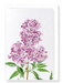 Ezen Designs - Lilac No.3 (detail) - Greeting Card - Front