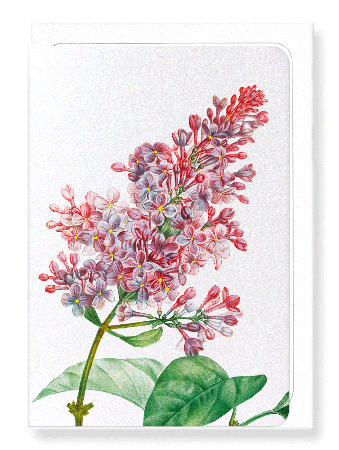 Ezen Designs - Lilac No.4 (detail) - Greeting Card - Front
