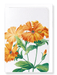 Ezen Designs - Lychnis grandiflora (detail) - Greeting Card - Front