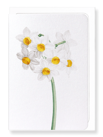 Ezen Designs - Sacred lily (detail) - Greeting Card - Front