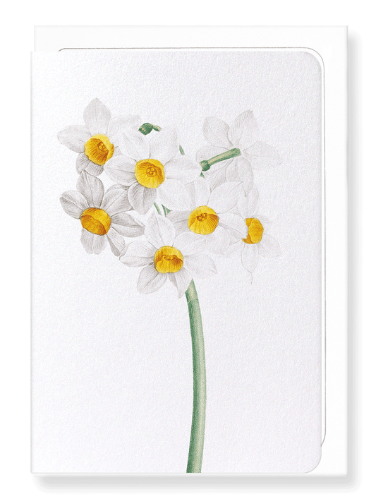Ezen Designs - Sacred lily (detail) - Greeting Card - Front