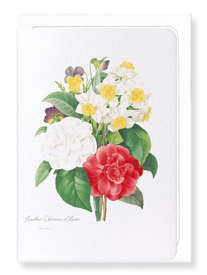 PANSIES, NARCISSUS & CAMELLIA: Botanical Greeting Card