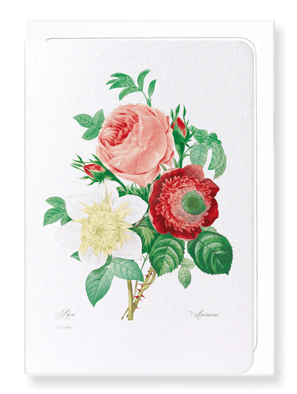 CLEMATIS & PINK ROSE: Botanical Greeting Card