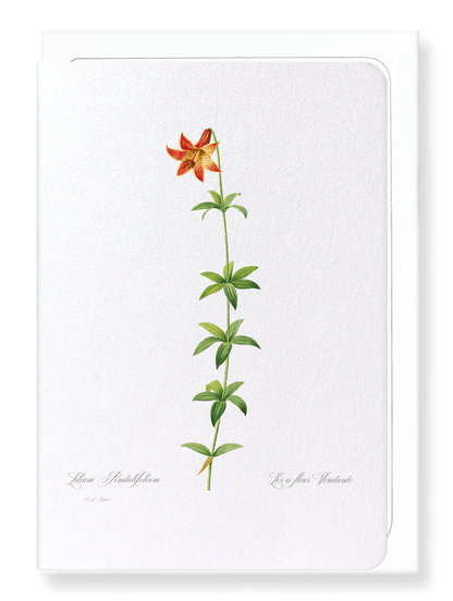 LILY: Botanical Greeting Card