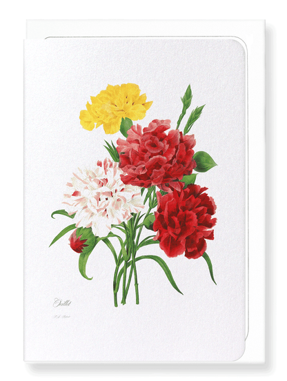 CARNATION: Botanical Greeting Card