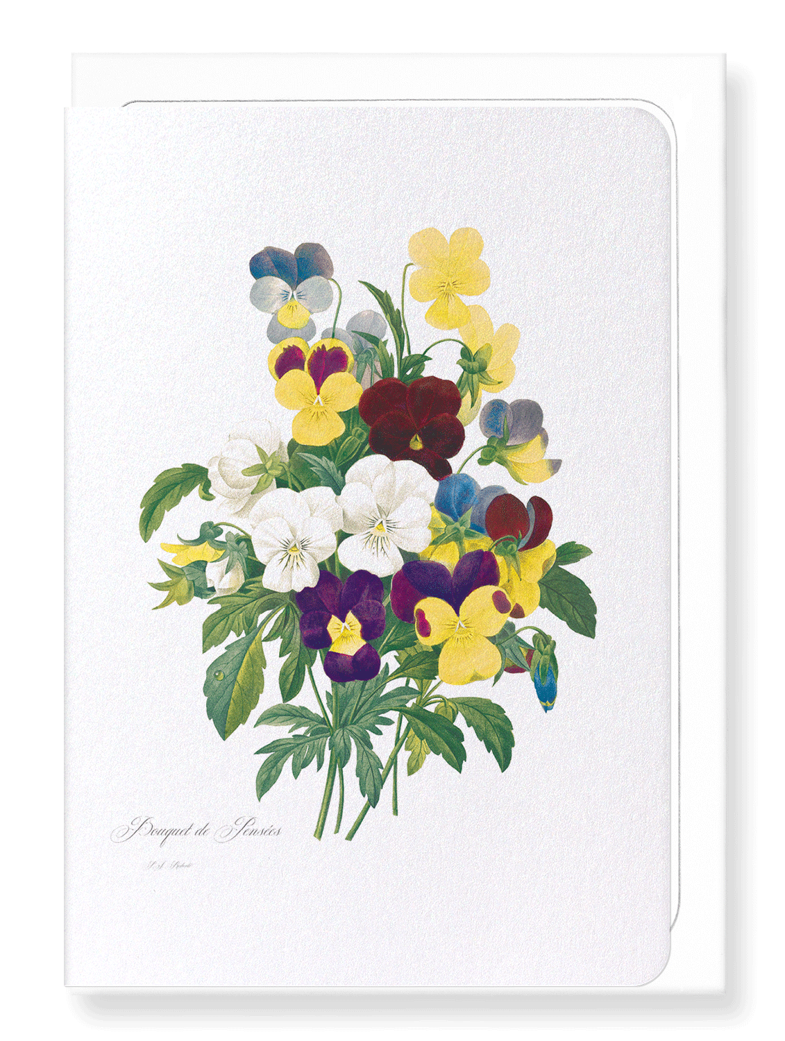 BUNCH OF PANSIES: Botanical Greeting Card