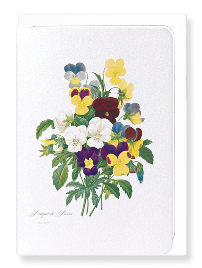 BUNCH OF PANSIES: Botanical Greeting Card