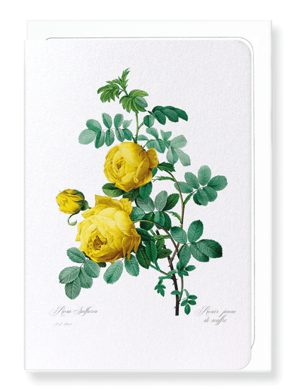 YELLOW ROSES: Botanical Greeting Card