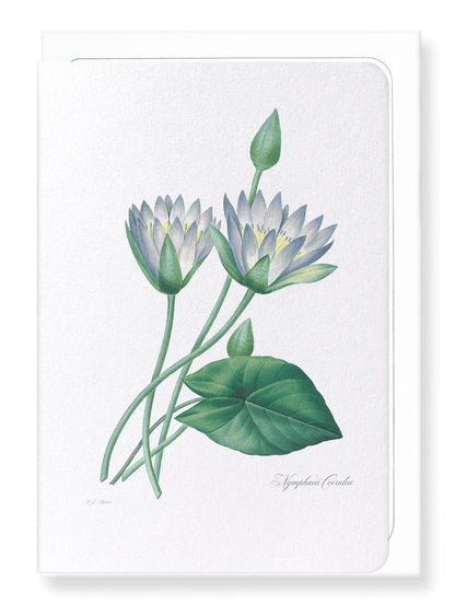 BLUE LOTUS: Botanical Greeting Card