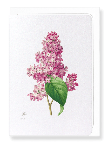 LILAC: Botanical Greeting Card