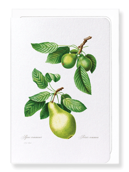 PEAR NO.1: Botanical Greeting Card