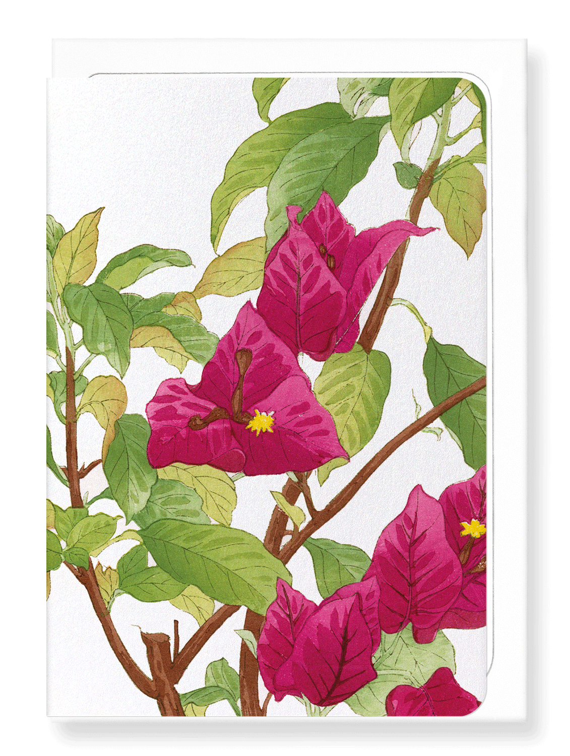 Ezen Designs - BIRDS OF PARADISE - Greeting Card - Front