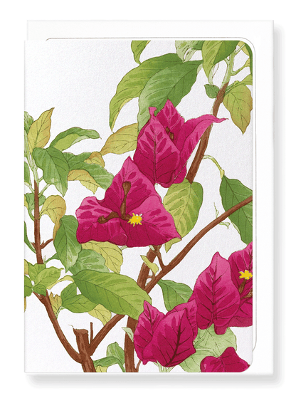 Ezen Designs - BIRDS OF PARADISE - Greeting Card - Front