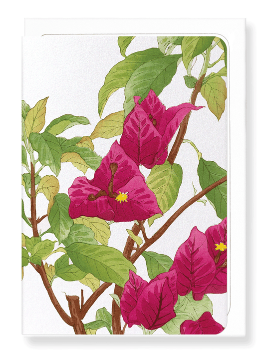 Ezen Designs - BIRDS OF PARADISE - Greeting Card - Front
